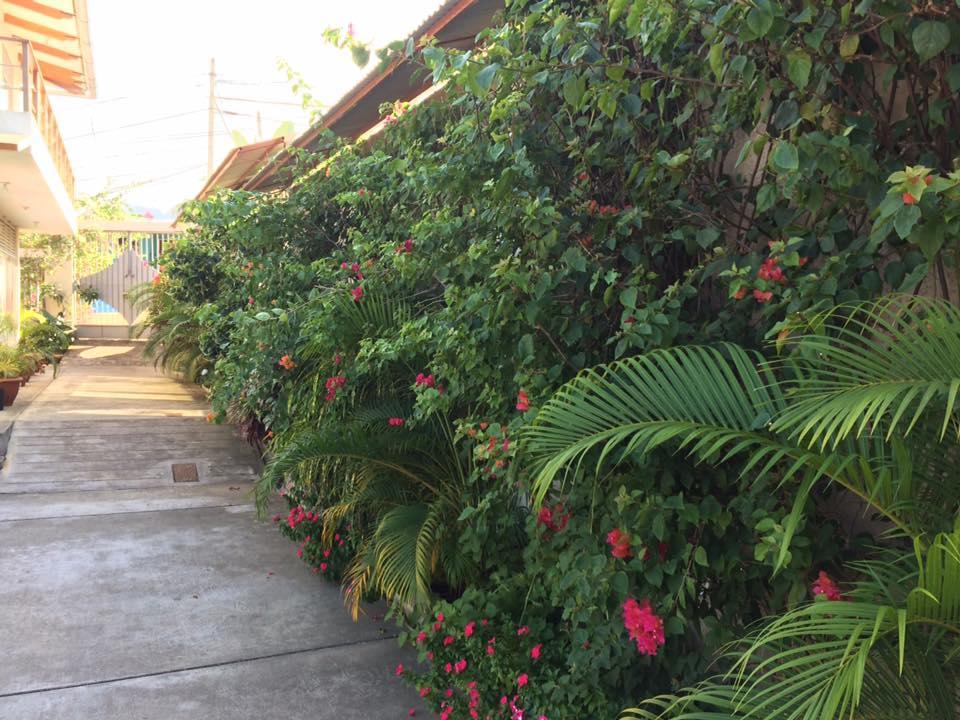 La Casa Del Italiano Panzió Tarapoto Kültér fotó